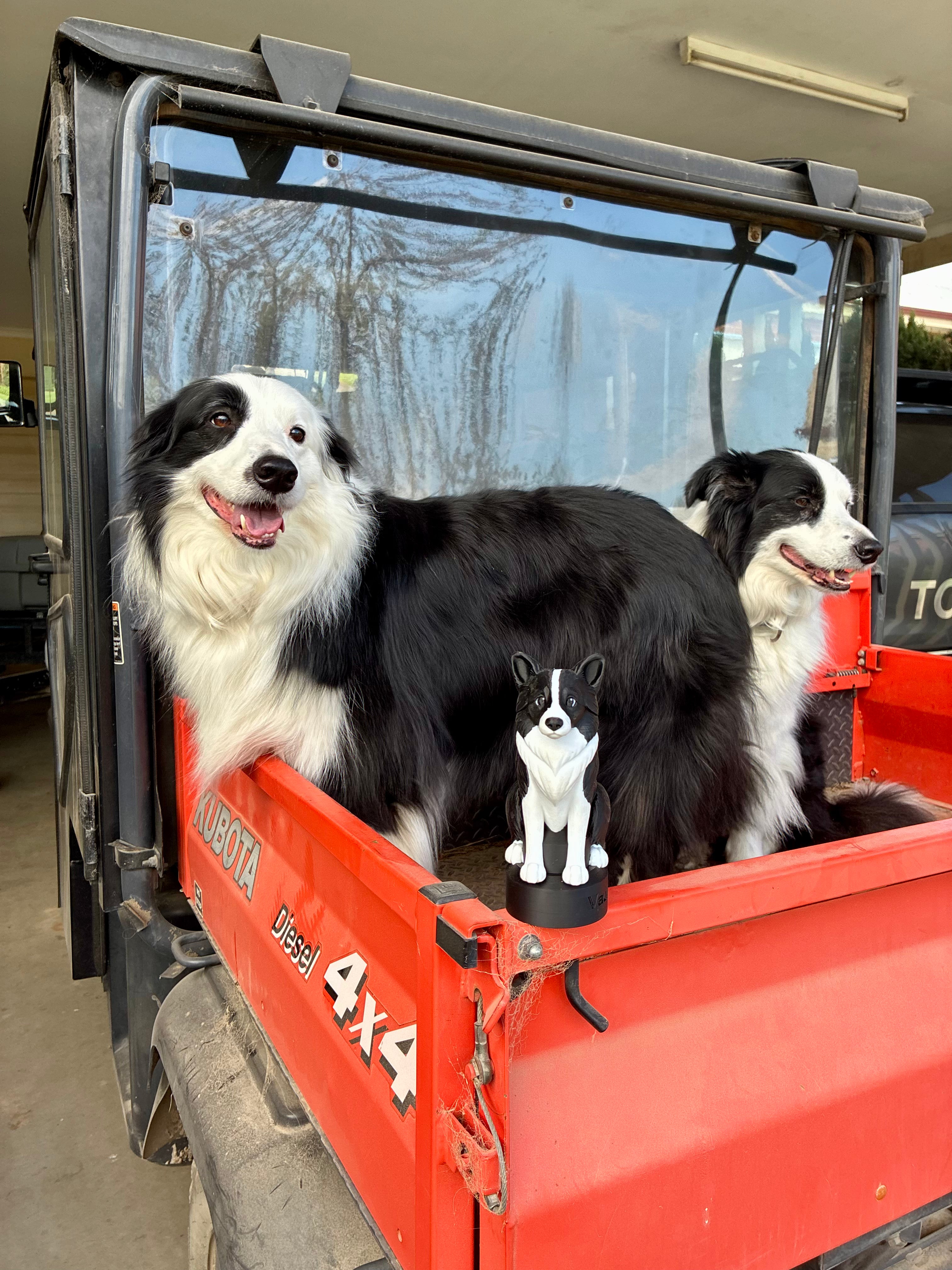 Border Collie DO35 Pin Hitch Cover